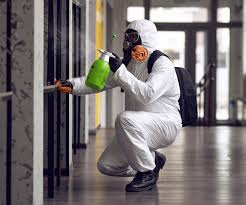 Why You Should Choose Our Mold Remediation Services in Bennett, CO